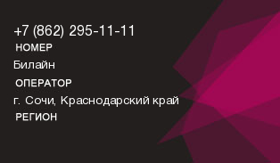 8622951111